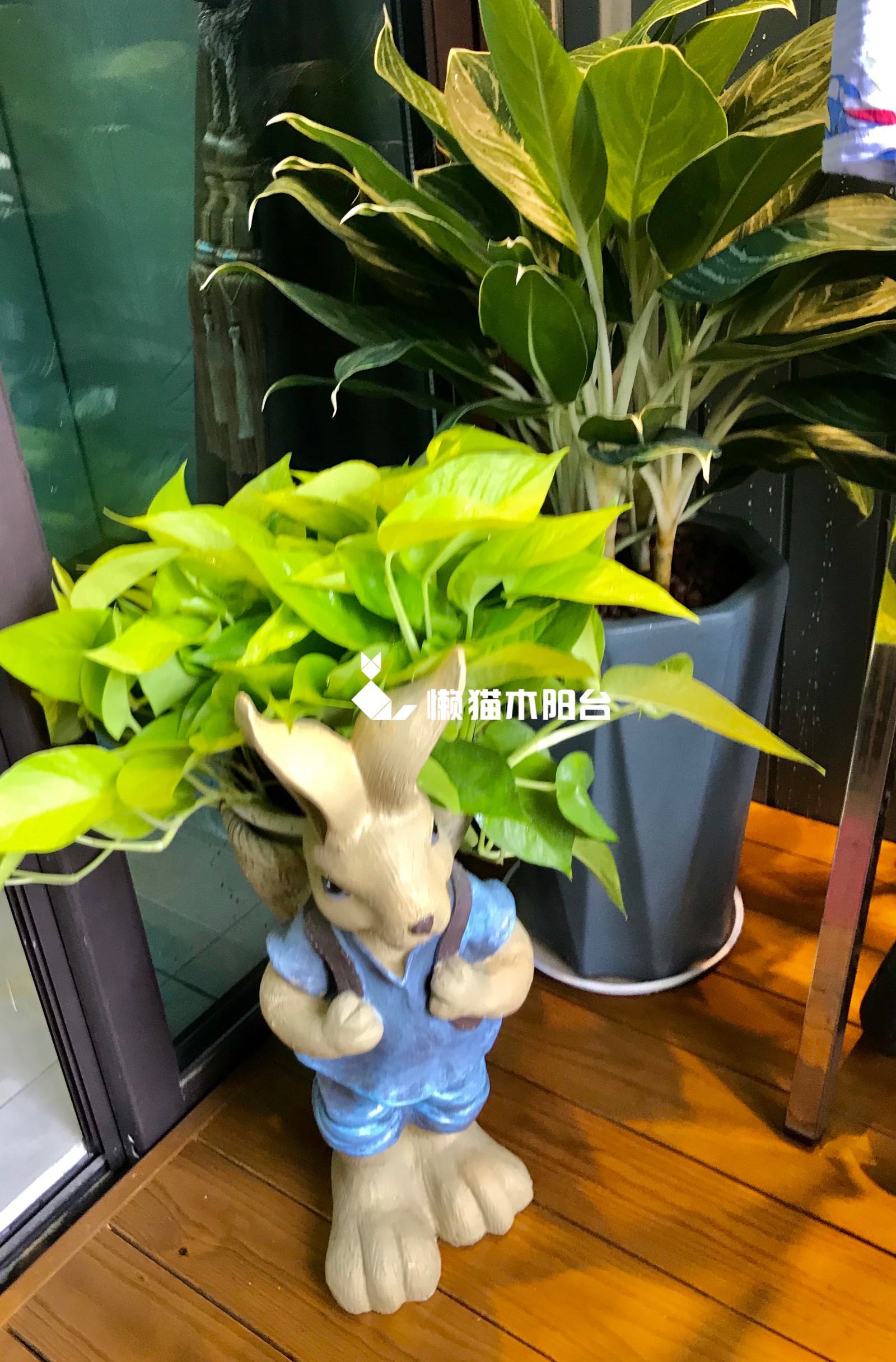 南海阳台改造方案
