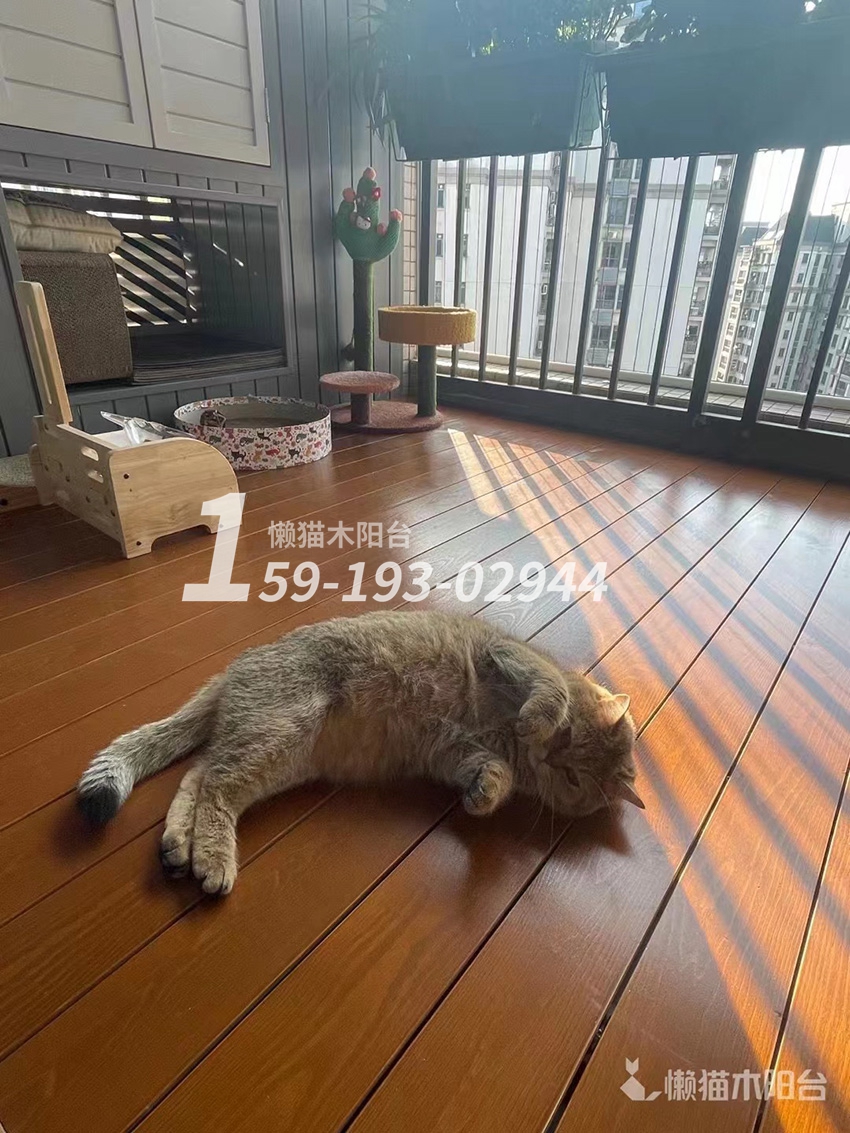懒猫木阳台设计师